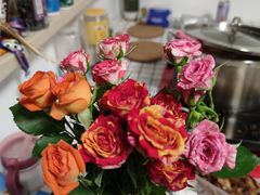 -双季花艺园艺市场(浦东店)