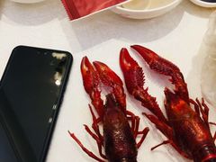 -新日月育才大酒店-中餐厅(环城北路店)