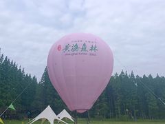 -黄海国家森林公园