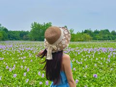 -白鹭湾湿地公园