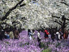 -江苏三台山国家森林公园