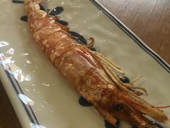 -東北一鴿(繁荣路店)
