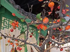 -荷塘秋月·本帮江浙菜(国权路店)