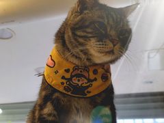 -平行世界·猫咖(首经贸店)