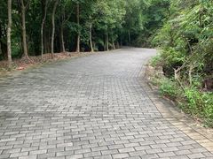 -滴水岩森林公园