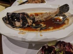 -陶然花园·婚宴