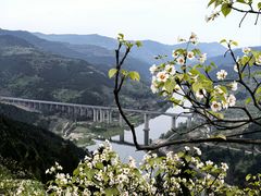 -舒家湾天主教堂