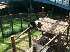 -大连森林动物园