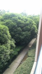 -东航云逸酒店·宴会厅