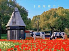 -大宁公园