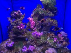 -多彩贵州城极地海洋世界