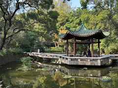 -九龙公园