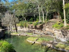 -奥兰多迪士尼动物王国乐园