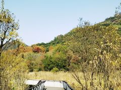 -西湖风景区-江洋畈生态公园