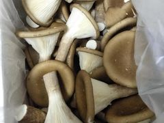 -绿姿鲜奶烘焙(新城花园店)