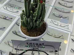 -罗伯特眼镜·蔡司官方授权(罗湖国贸店)