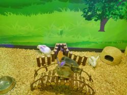 -酷嗒动物文化乐园(cutezoo西溪乐天城店)