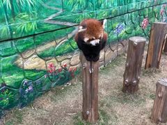 -常州淹城野生动物世界