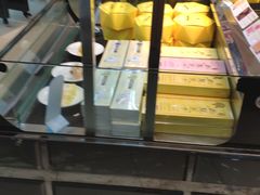 -蒲公英(五里店)