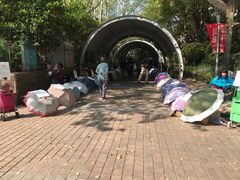 -人民公园-相亲角