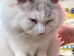 -平行世界·猫咖(首经贸店)