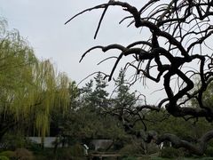 -秋霞圃