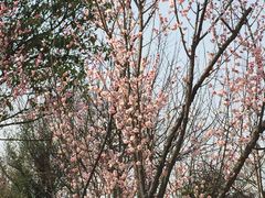 -南通洲际绿博园