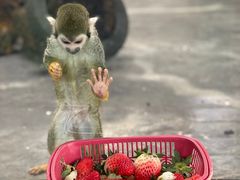 -西安秦岭野生动物园