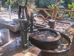 -广州白江湖森林公园