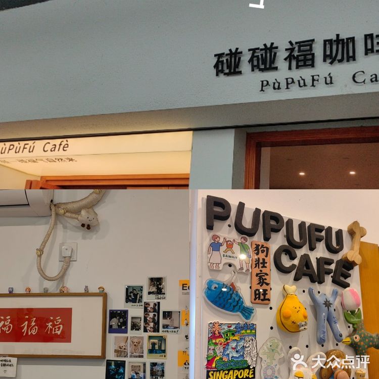 嘉兴市中心的温馨角落，来一杯碰碰福~