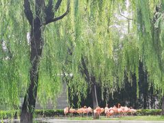 -石家庄市动物园