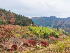-四明山国家森林公园