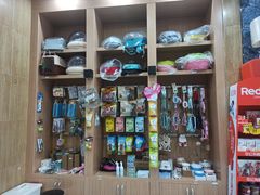 -瑞派名望志远动物医院·猫科·內科·异宠专科(直港大道店)