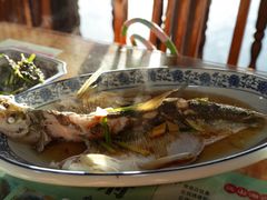 清蒸白水鱼-洞天食府(北大街店)