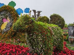 -荷兰花海