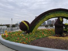 -映月湖中央公园