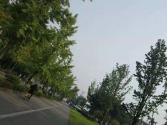 -四川大学(望江校区)