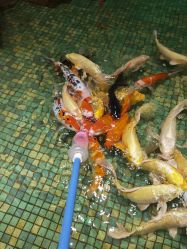 -酷嗒动物文化乐园(cutezoo西溪乐天城店)