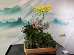 -石家庄市植物园