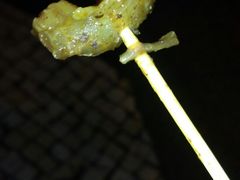 -明记牛杂(新马路分店)