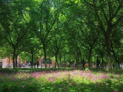 -西北农林科技大学(北校区)