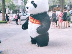 -MUJI无印良品(顺城店)