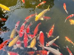 -顺德渔村·岭南一号