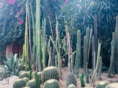 -祥源·阜阳生态乐园