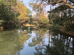 -蒋氏故居