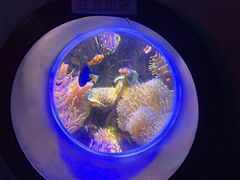 -太平洋海底世界