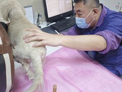 -北京观赏动物医院·24小时大型综合·猫专科·异宠专科