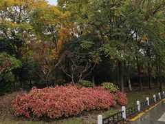 -梁鸿国家湿地公园