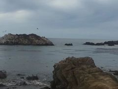 -卡梅尔海