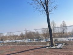-呼兰河口湿地公园